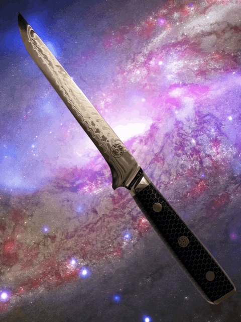 Interstellar Boning Knife