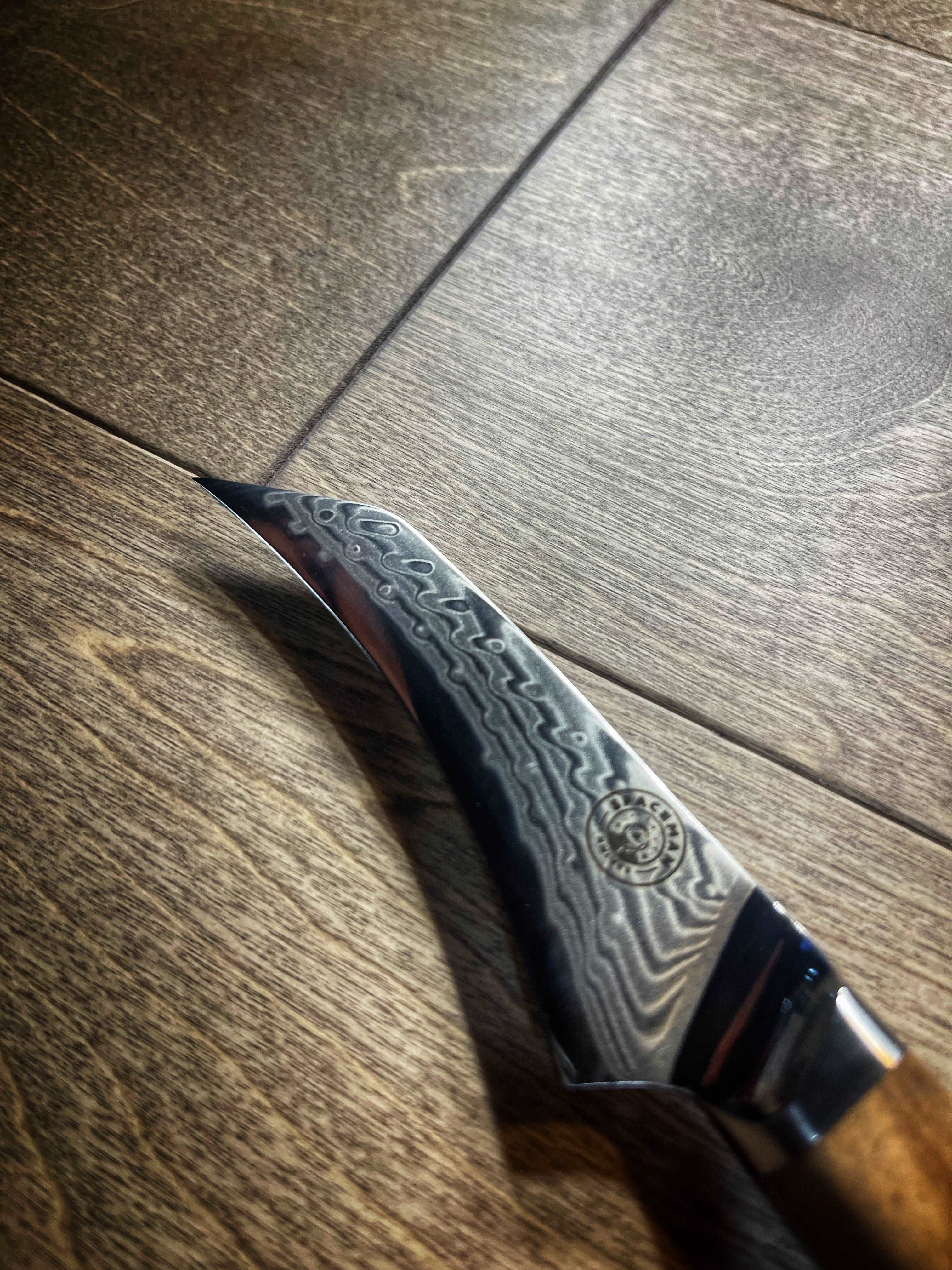 Interstellar Series Paring Knife